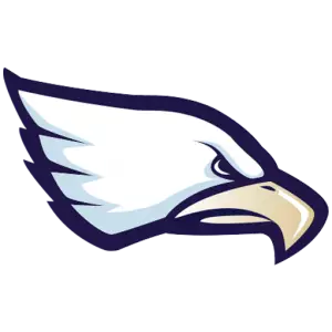 radiancetechnologiesindependencebowl.com icon