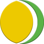 radiohitwave.com logo
