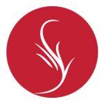radius.com.mx icon