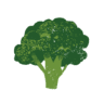 rainbowplantlife.com icon