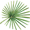 rainforestcruises.com icon
