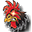 rajawd777tu.monster icon