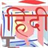 rajbhasha.net icon