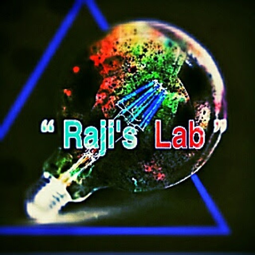 rajislab.com icon