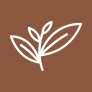 ramondahotel.com icon