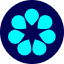 rapiddg.com icon