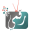 raqamitv.com icon