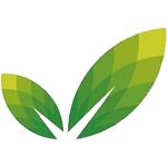 rashi.org.il icon