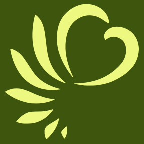 rasotiziedai.lt icon