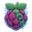 raspberry.tips icon