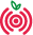 raspberryshake.org logo