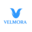 rastreiovelmora.com.br icon