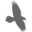 raven5.com icon