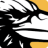 ravensoft.com logo