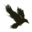 raventek.com icon