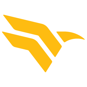 raventrack.com icon