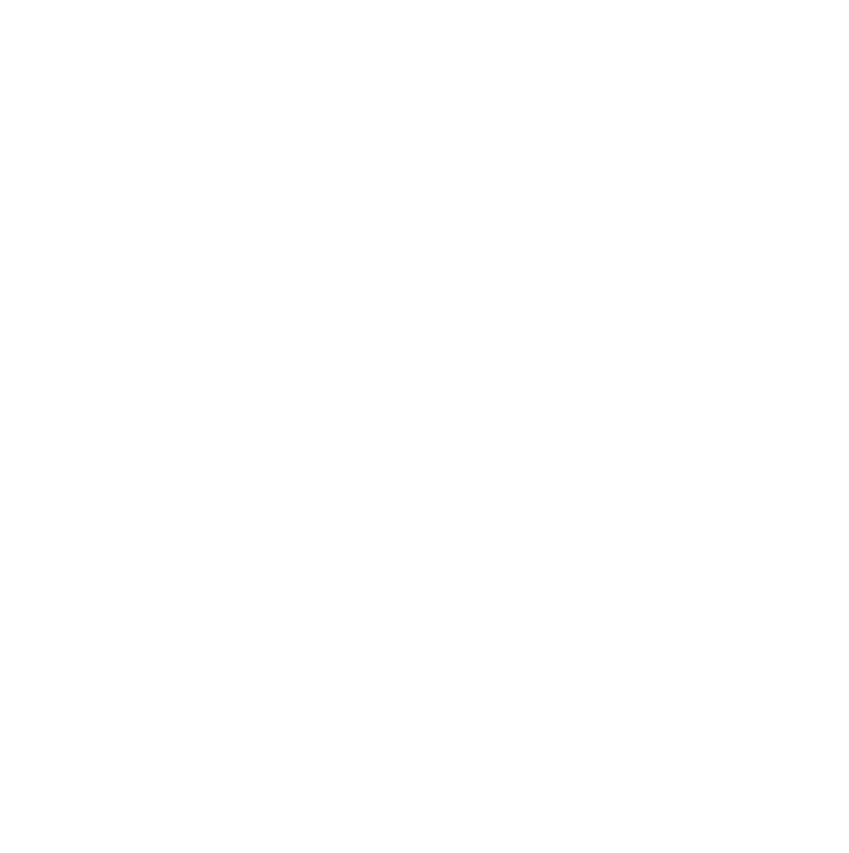 raynet.cc logo
