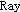raysat.net icon