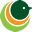 rduirapuru.com.br icon