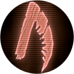 reactivedrop.com icon