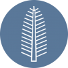rebecca-clopath.ch icon