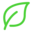 recipesage.com logo