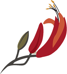 reconnectingnorthland.org.nz icon