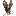 record-eagle.com