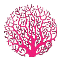 redcoraluniverse.com icon
