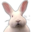 redhare.com icon