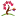 redmaple.com icon