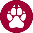 redpawdogfood.com icon