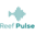 reef-pulse.com icon