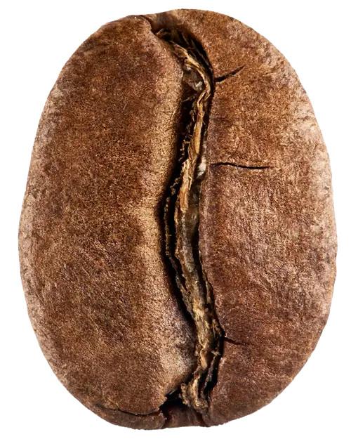 reinholz-kaffee-shop.de icon