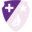 religiosasdelasuncion.org icon