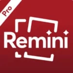 reminipromodapk.com.in icon