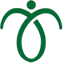 remwes.com icon
