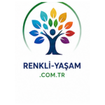 renkli-yasam.com.tr icon