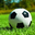 renyisy.com icon