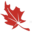 repinc.ca icon