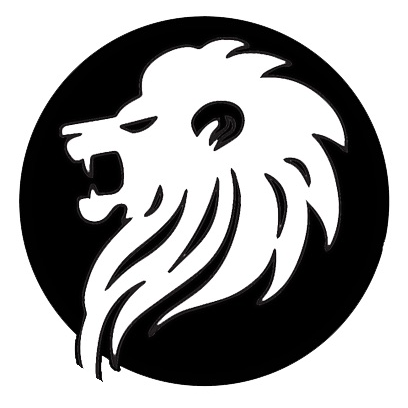 resortoptionsinternational.com icon