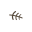 restauranteelsorell.com icon