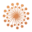 Solara House logo