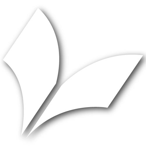 revistasaga.org icon