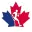 revitalhealth.ca icon