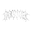 revokerugs.com