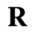 rheingans.io icon