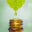 rhnaturaltherapies.com icon