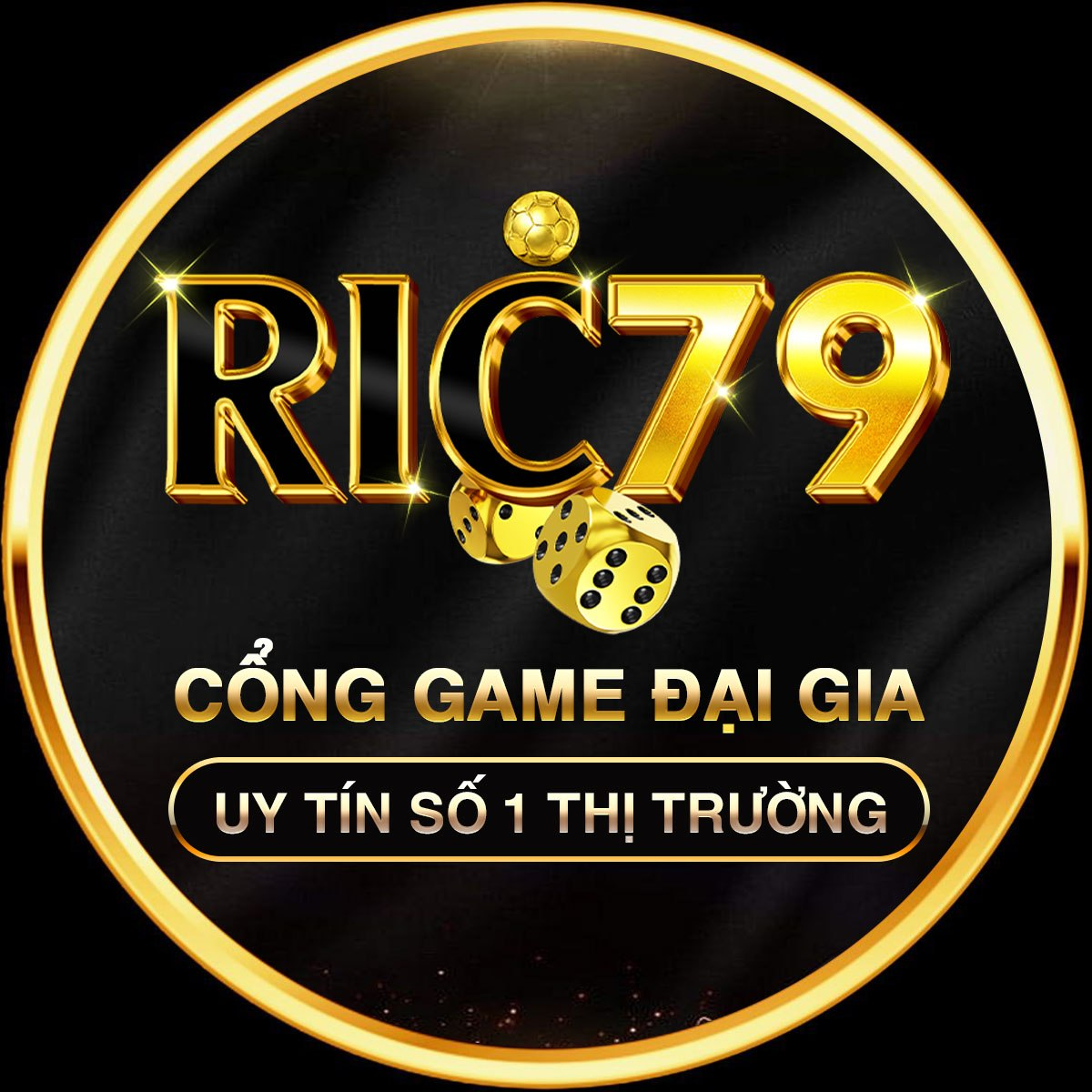 ric79.top icon