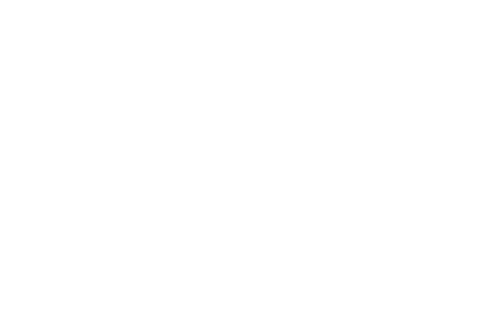 Rich Liu logo